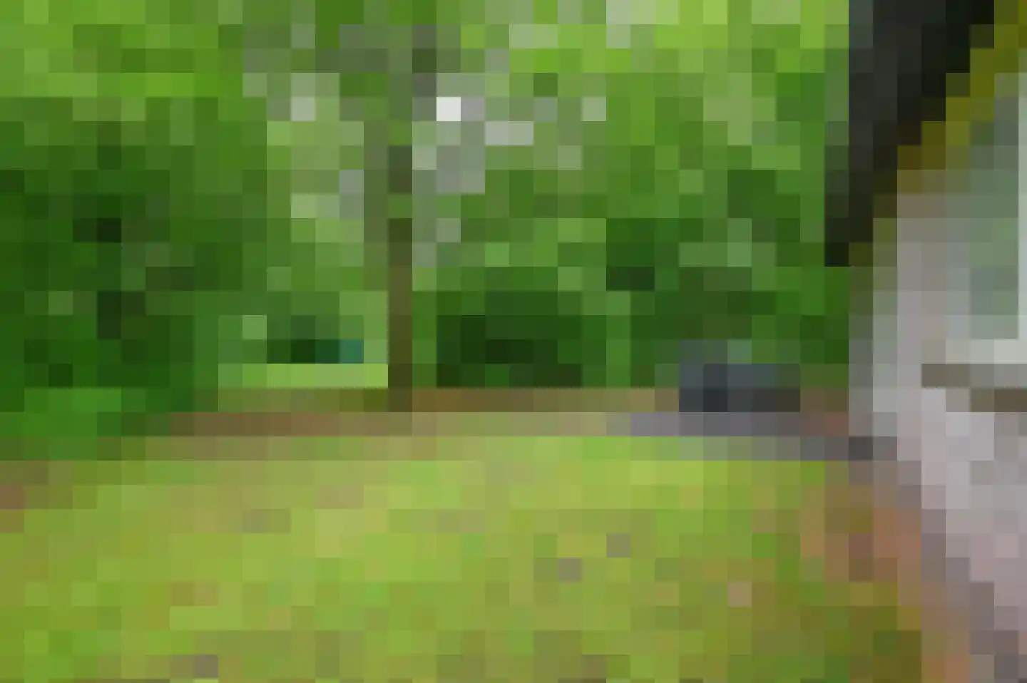 Aelderholt 1 H249 Aalden thumbnail 16