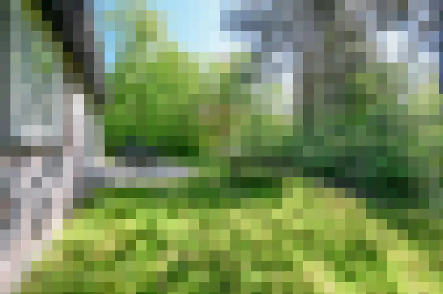 Aelderholt 1 H249 Aalden thumbnail 20