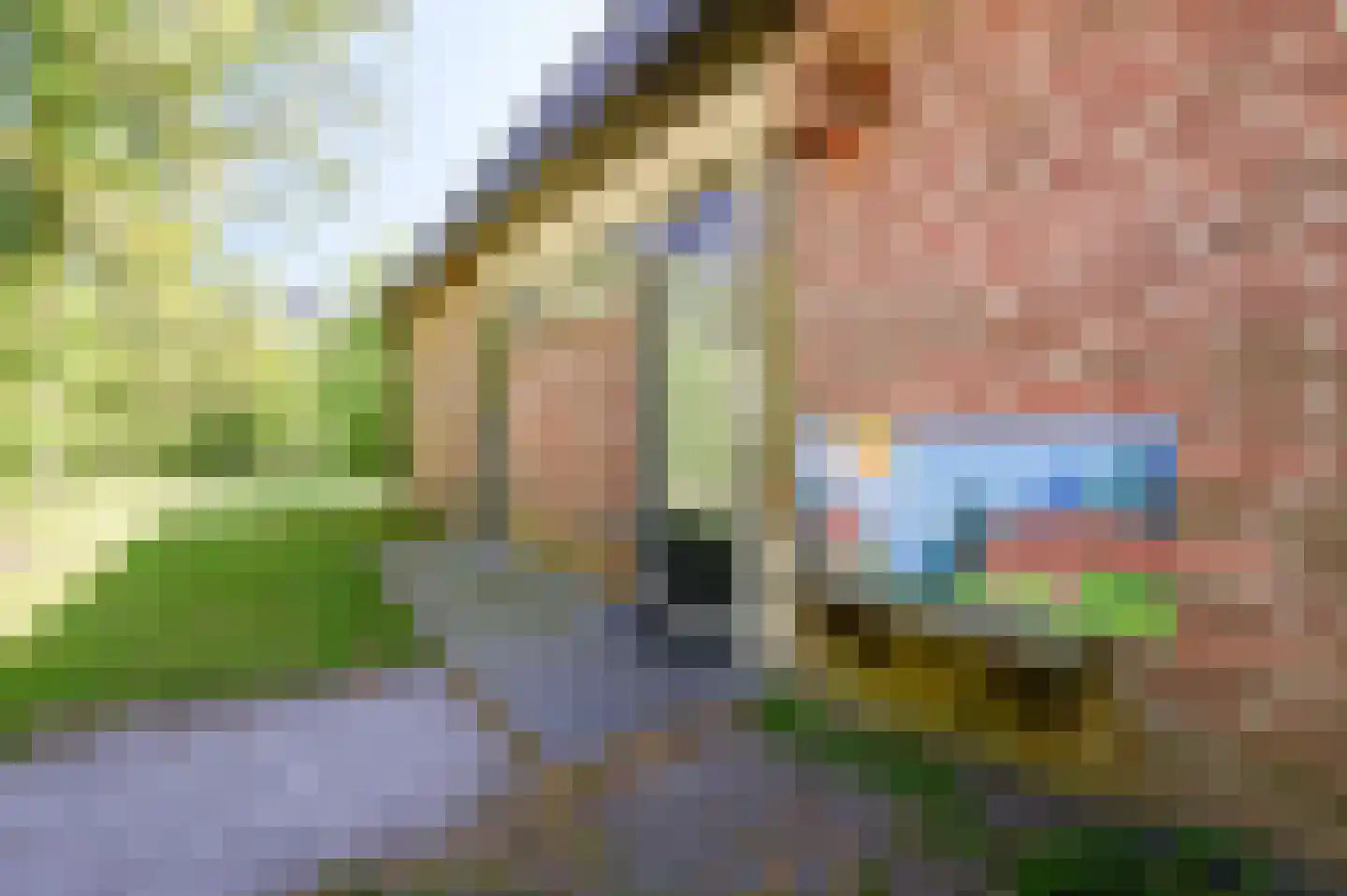 Aelderholt 1 H249 Aalden thumbnail 21