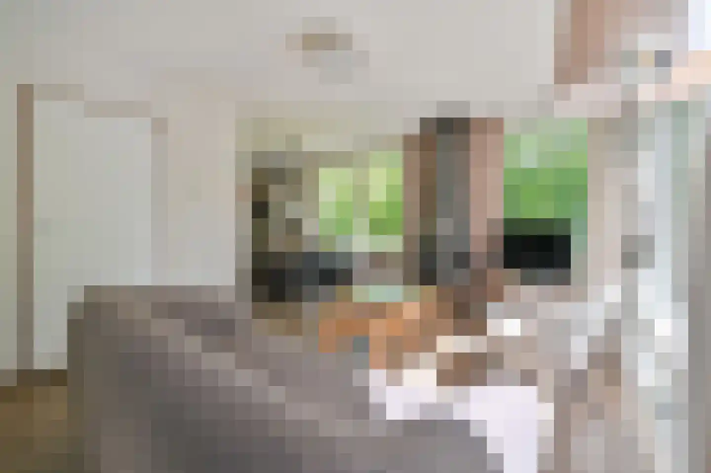 Aelderholt 1 H249 Aalden thumbnail 5