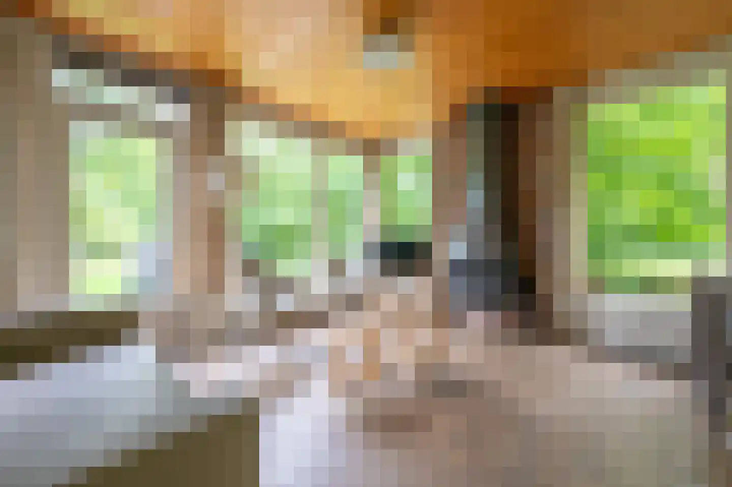 Aelderholt 1 H249 Aalden thumbnail 5