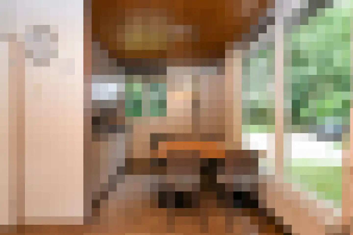 Aelderholt 1 H249 Aalden thumbnail 5