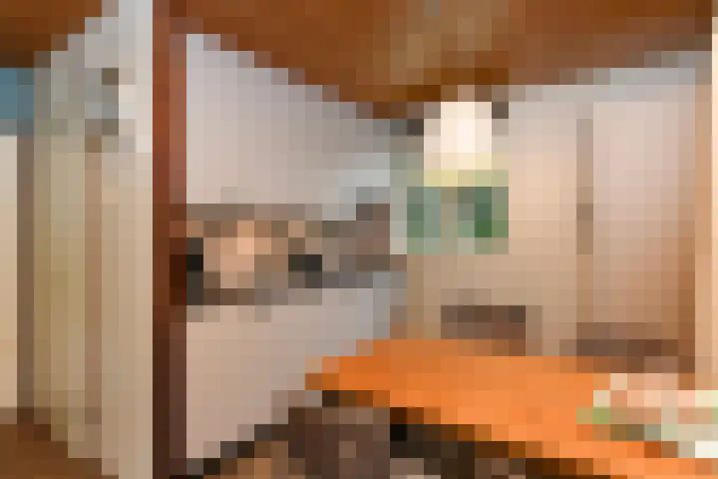 Aelderholt 1 H249 Aalden thumbnail 6