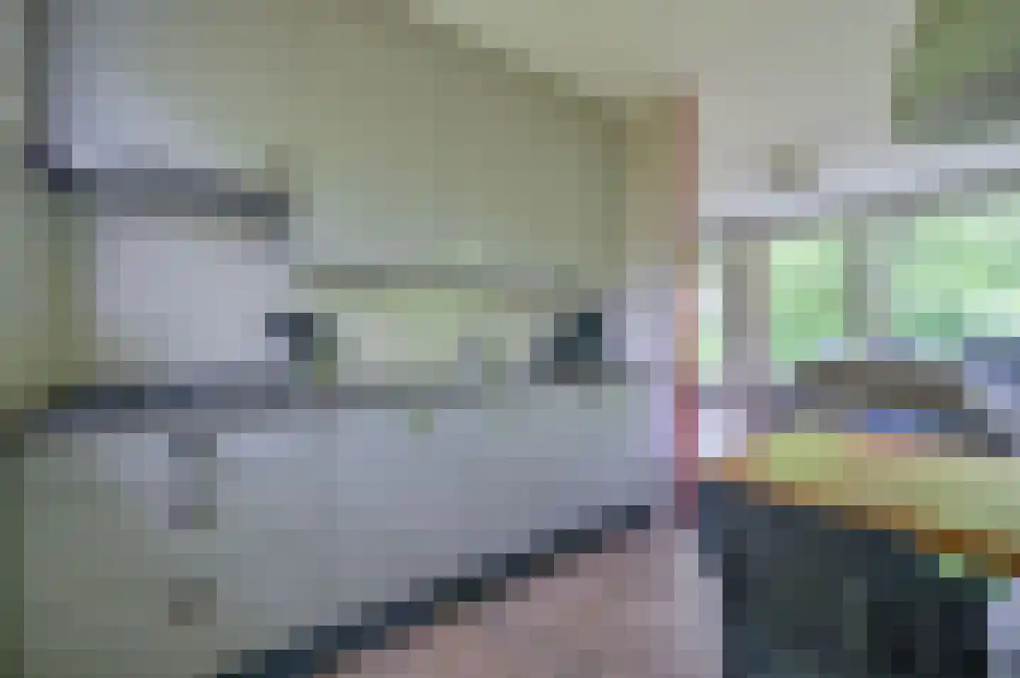 Aelderholt 1 H249 Aalden thumbnail 9