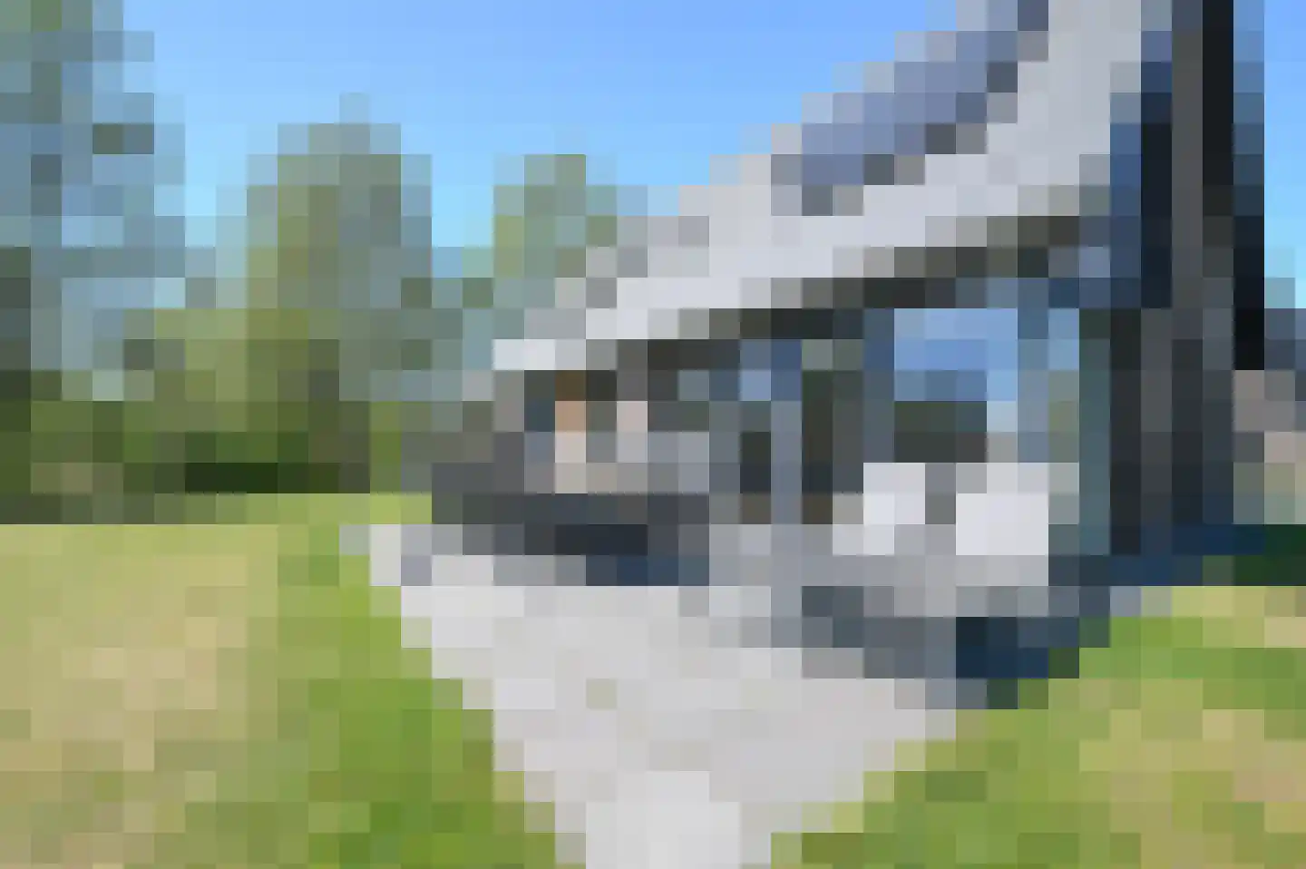 Aelderholt 4 H301 Aalden thumbnail 37