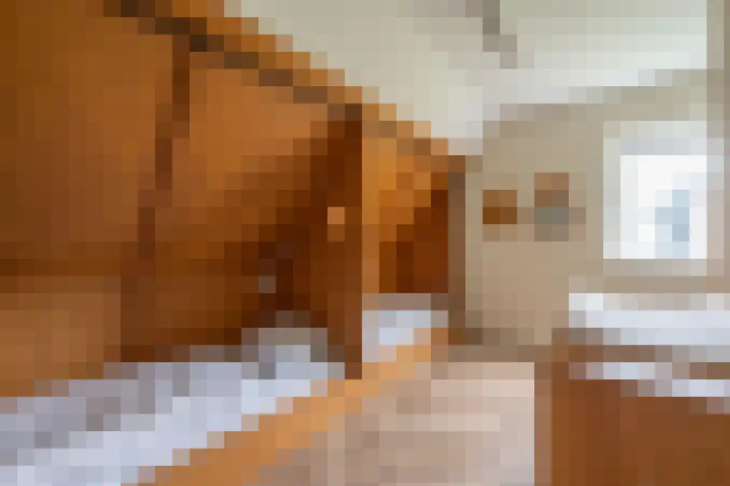 Aelderholt 4 H313 Aalden thumbnail 25