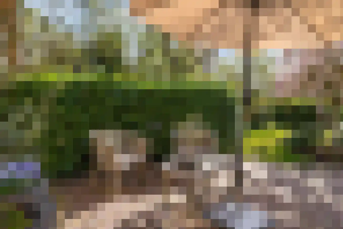 Aelderstraat 68 Aalden thumbnail 6