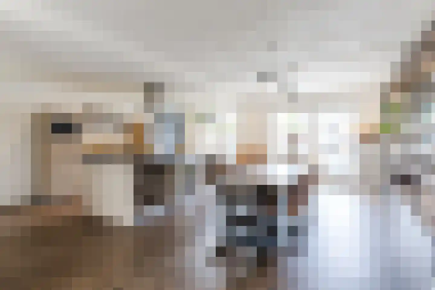 Aelenstraat 3 Eersel thumbnail 12