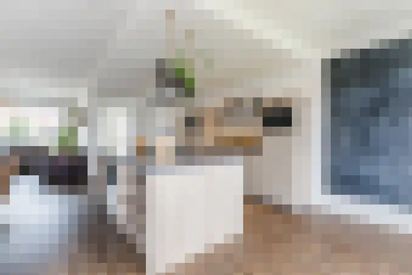 Aelenstraat 3 Eersel thumbnail 14
