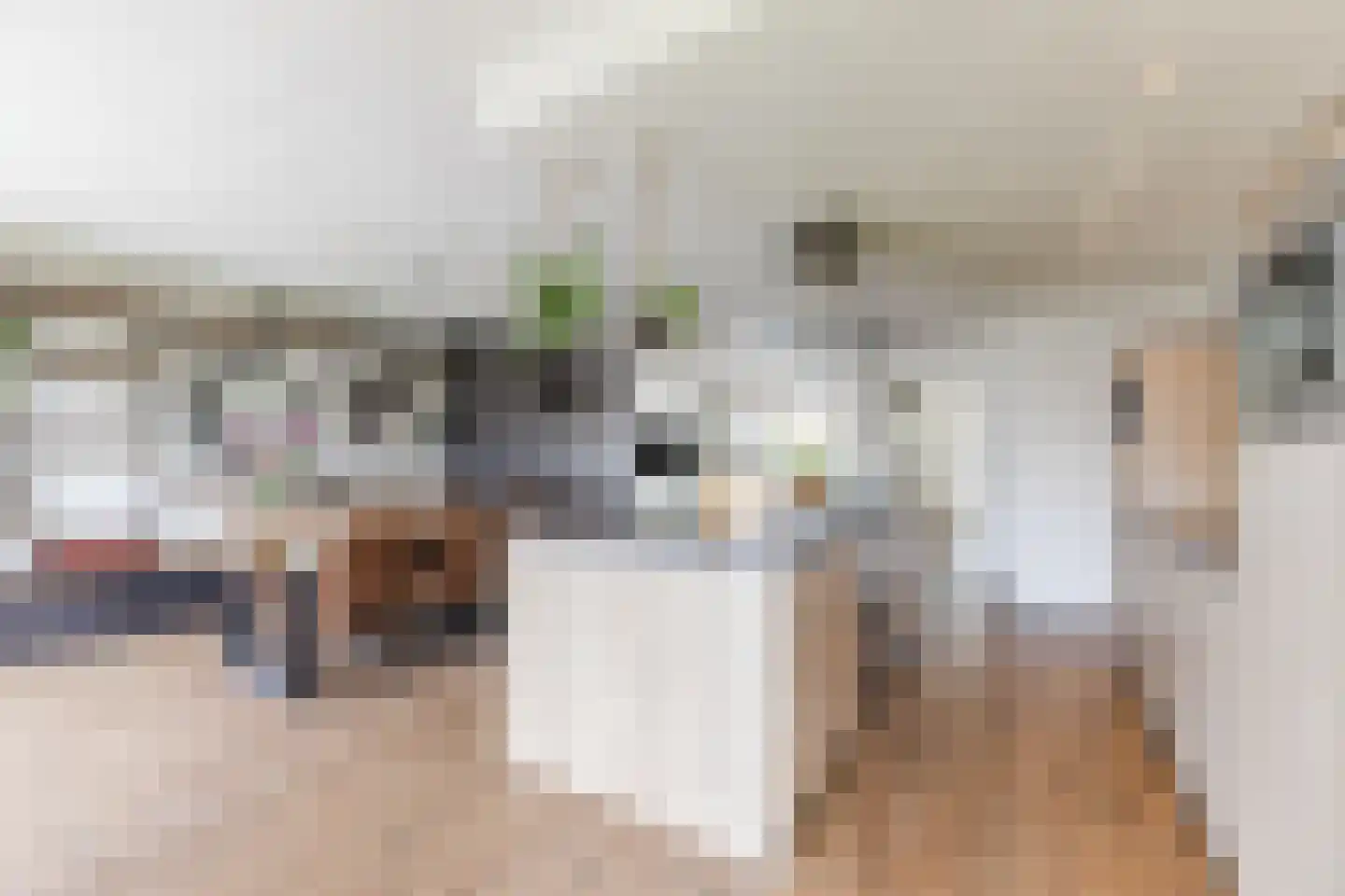 Aelenstraat 3 Eersel thumbnail 15