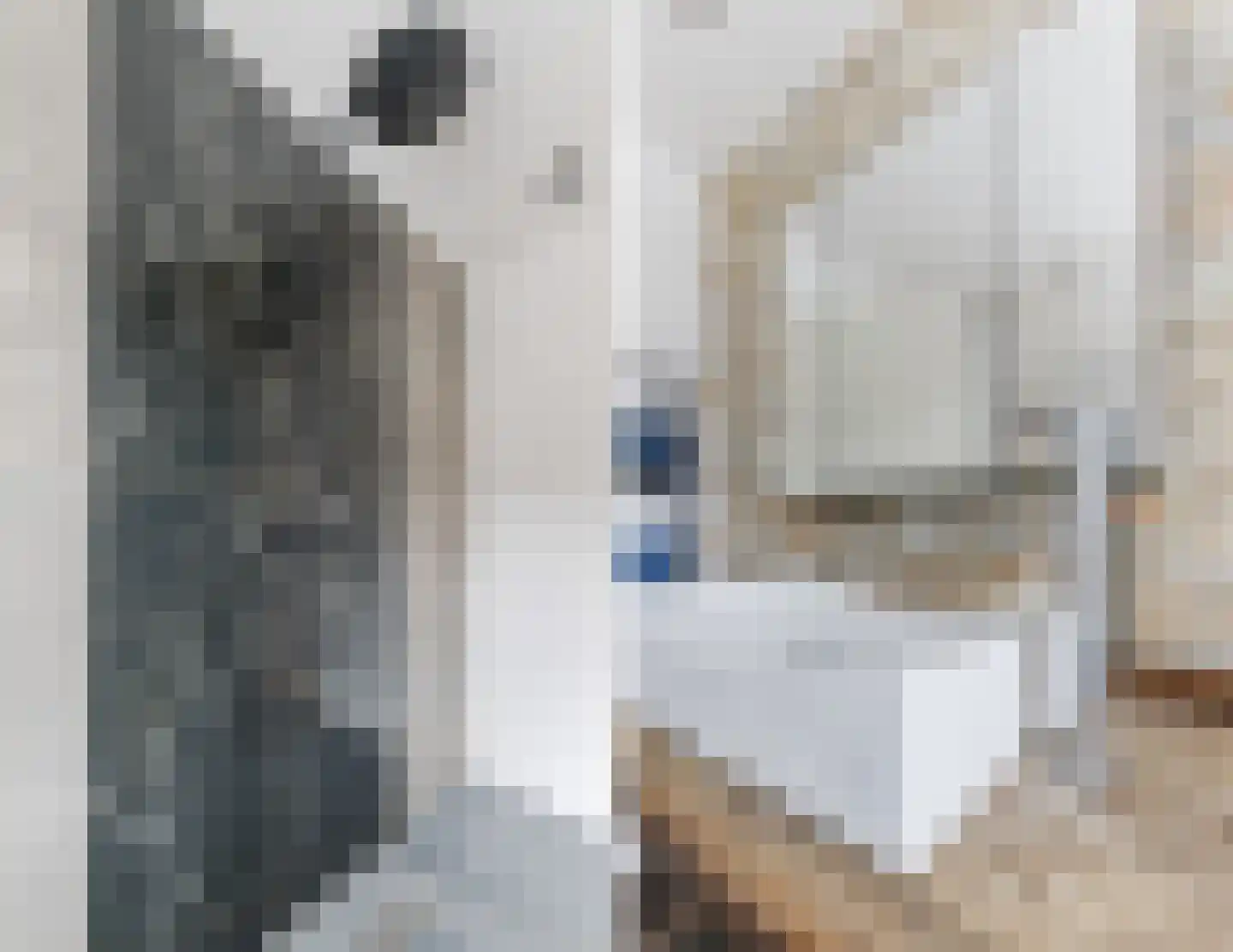 Aelenstraat 3 Eersel thumbnail 23