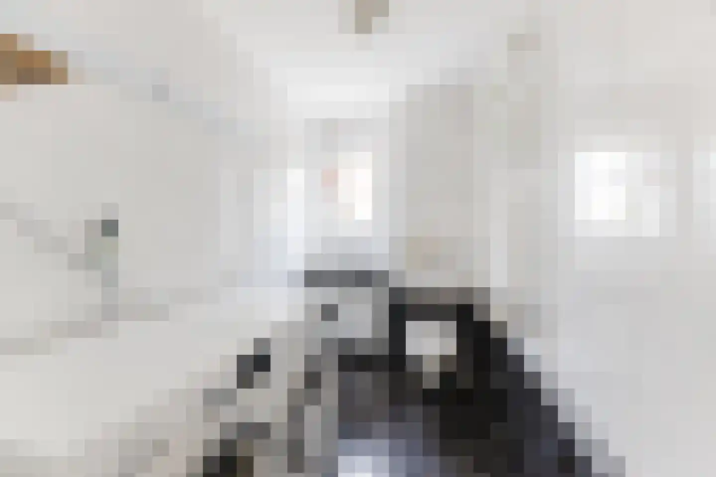 Aelenstraat 3 Eersel thumbnail 26