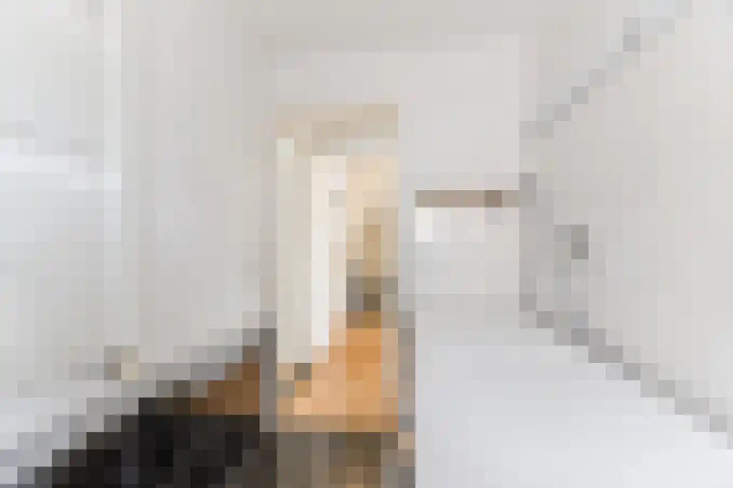 Aelenstraat 3 Eersel thumbnail 27