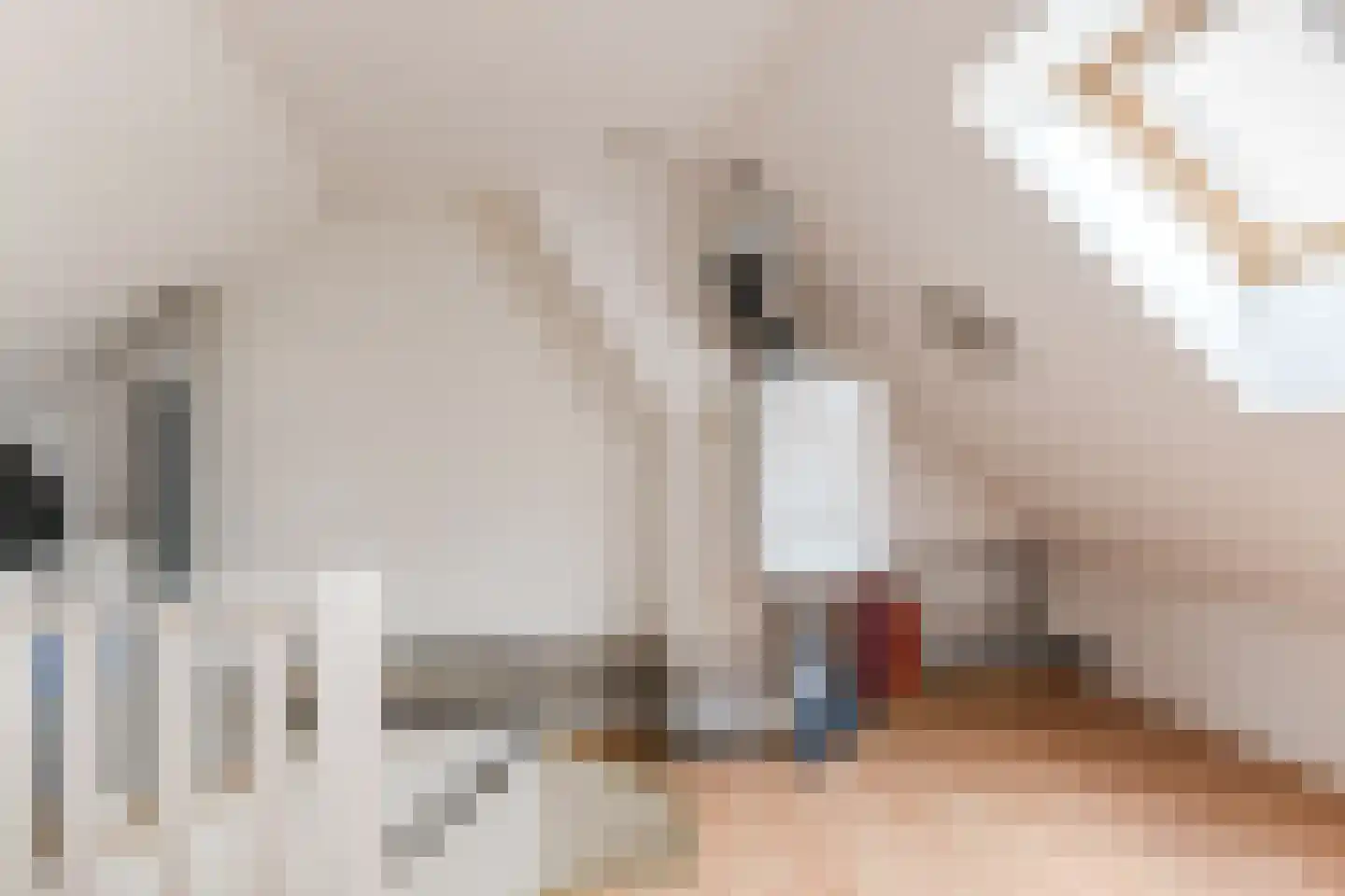 Aelenstraat 3 Eersel thumbnail 29