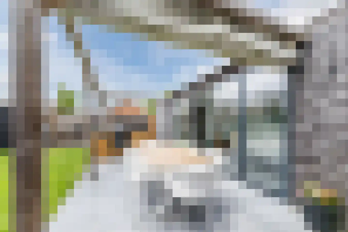 Aelenstraat 3 Eersel thumbnail 33