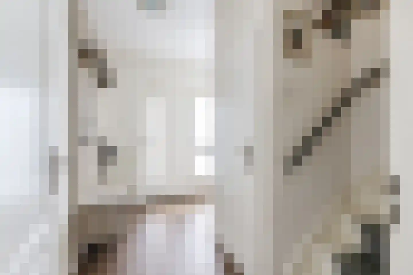 Aelenstraat 3 Eersel thumbnail 4
