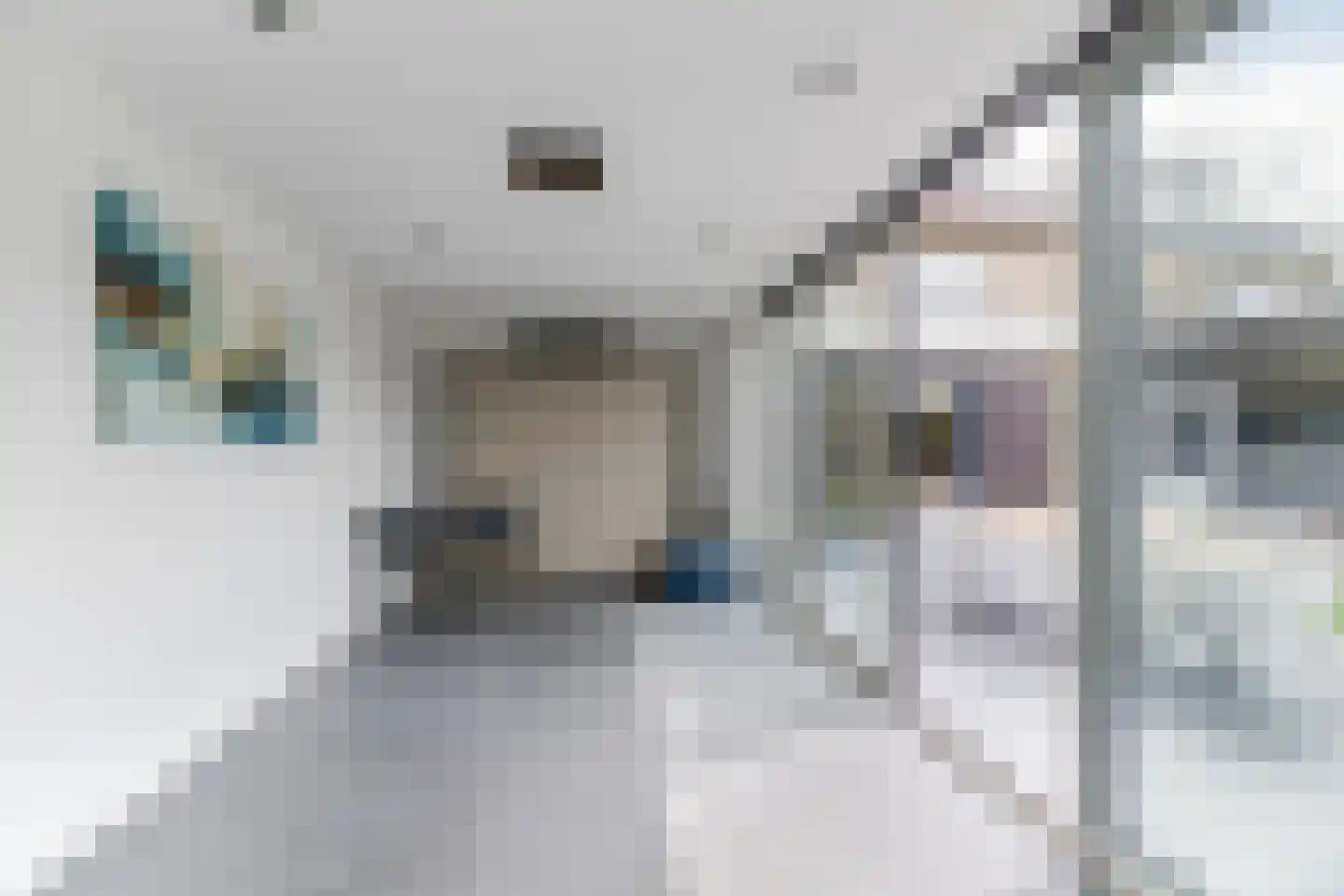 Aelenstraat 3 Eersel thumbnail 40