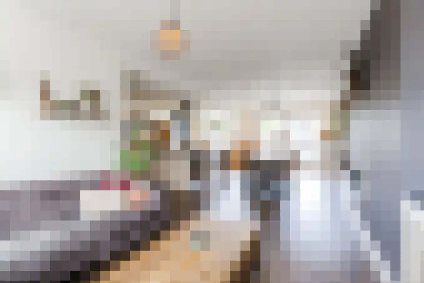 Aelenstraat 3 Eersel thumbnail 8