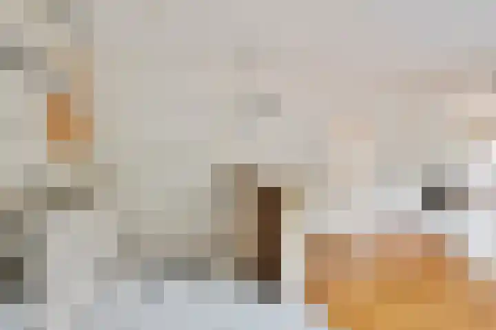 Aenboomsteegde 20 Appelscha thumbnail 12
