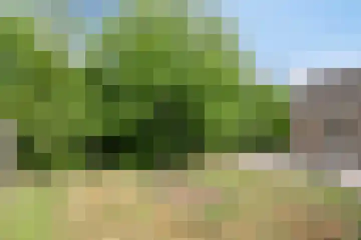 Aenboomsteegde 20 Appelscha thumbnail 23