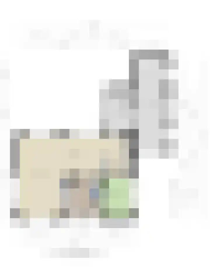 Aenboomsteegde 20 Appelscha thumbnail 26
