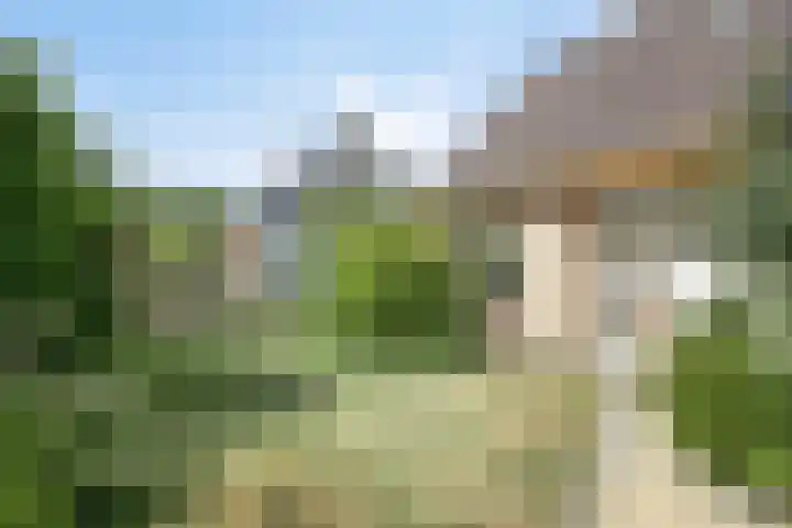Aenboomsteegde 20 Appelscha foto 3