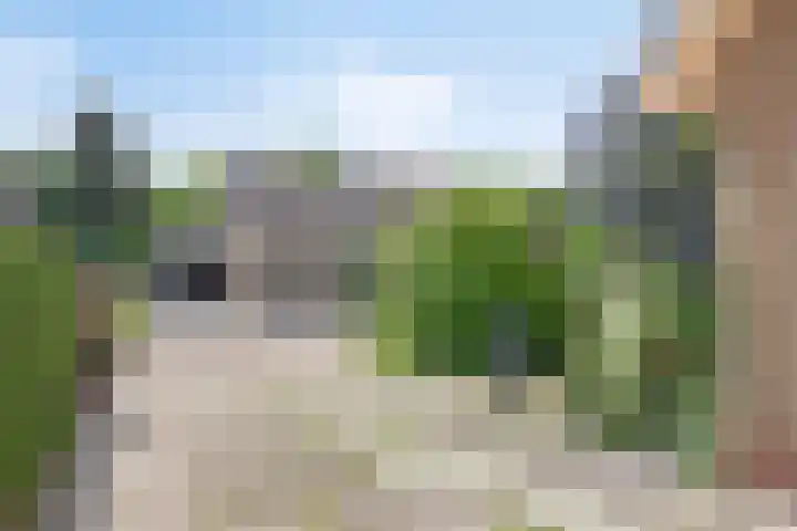 Aenboomsteegde 20 Appelscha thumbnail 4