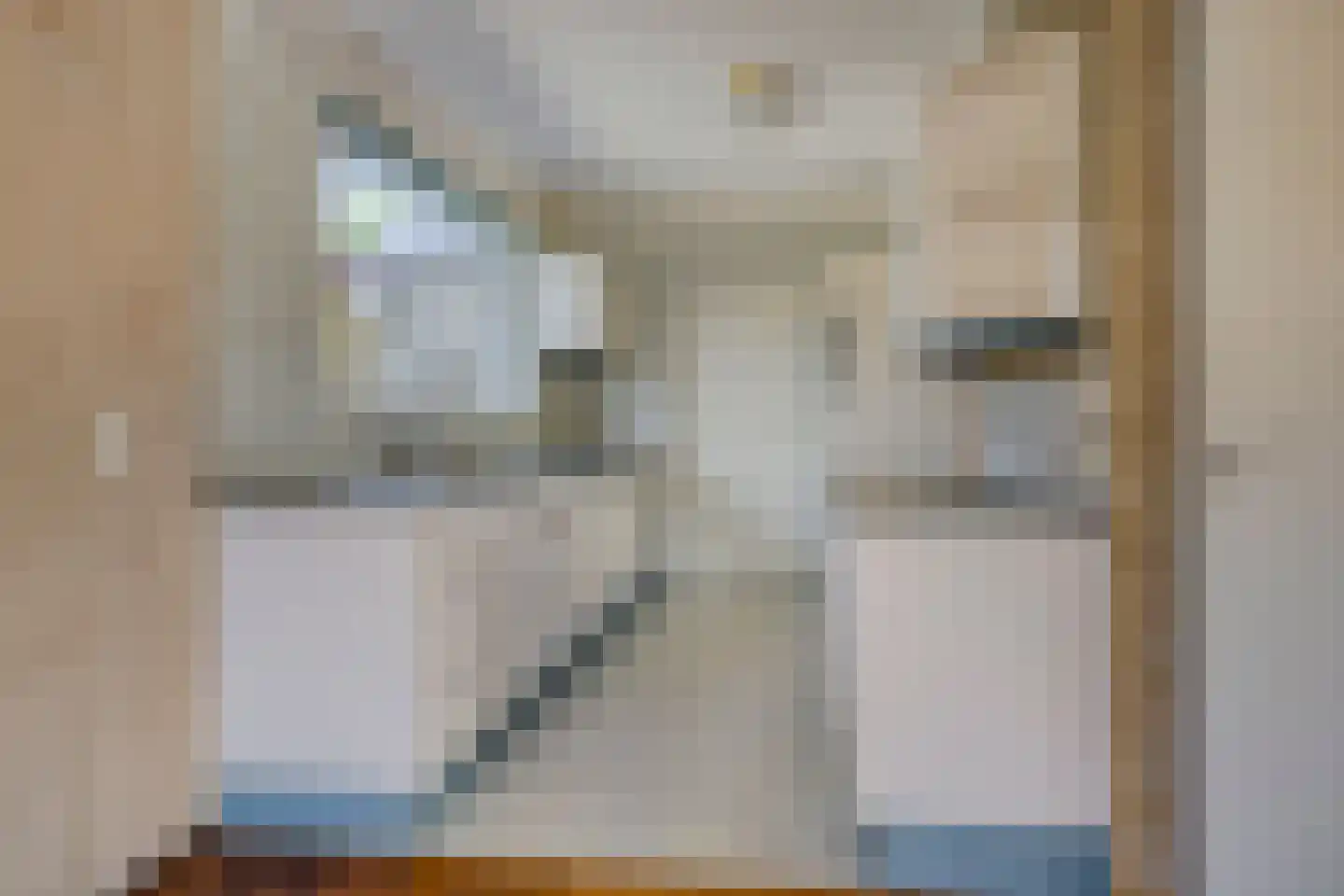 Aenboomsteegde 4 Appelscha thumbnail 17