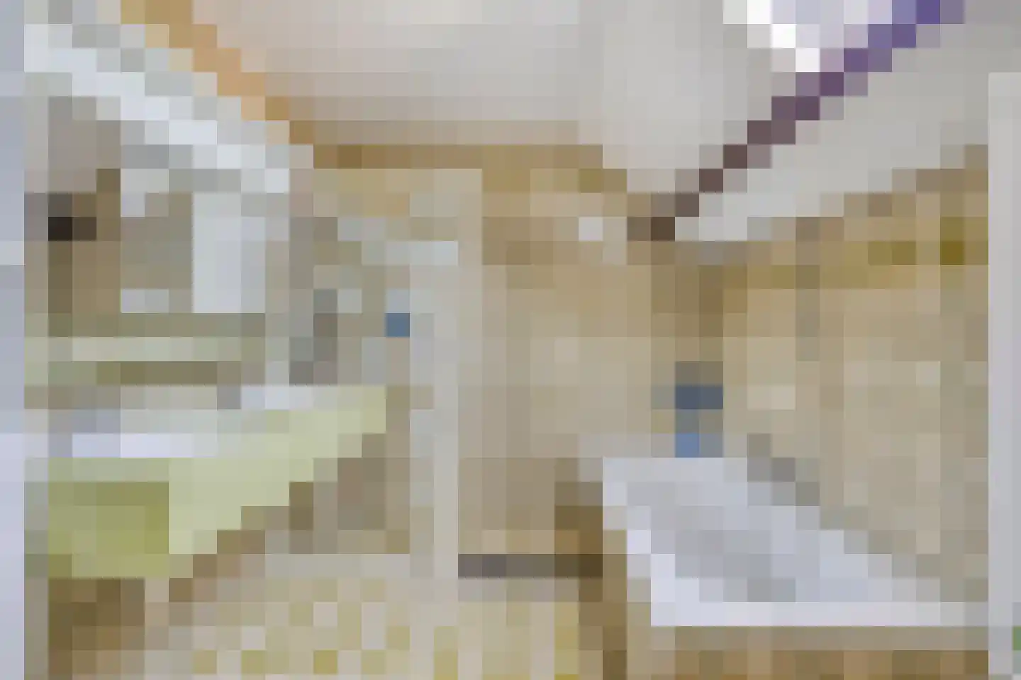 Aenboomsteegde 4 Appelscha thumbnail 34