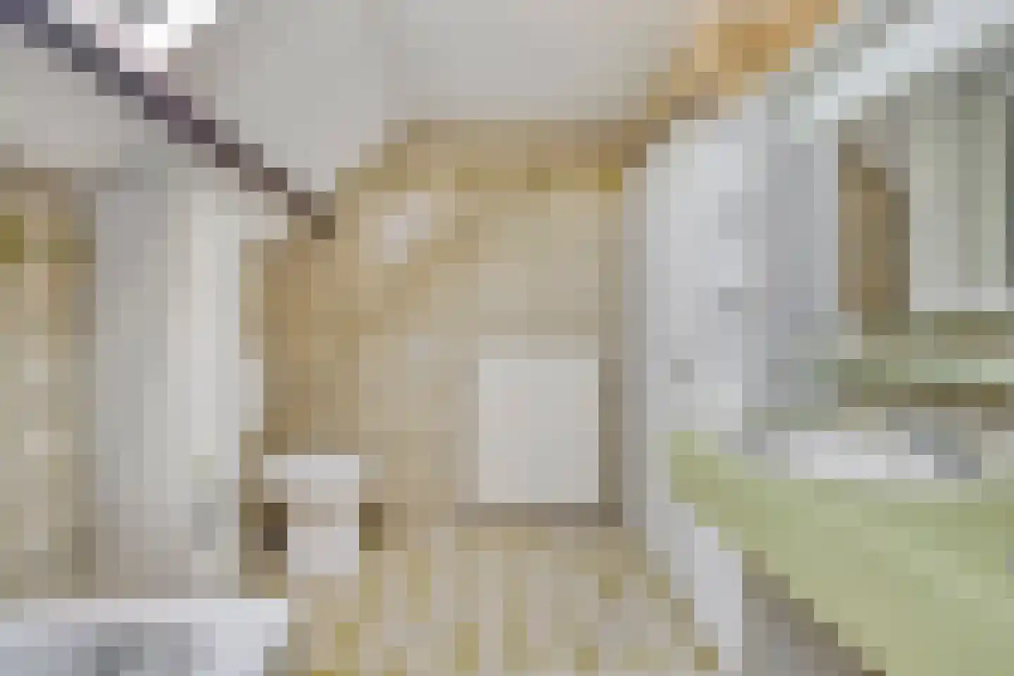 Aenboomsteegde 4 Appelscha thumbnail 35