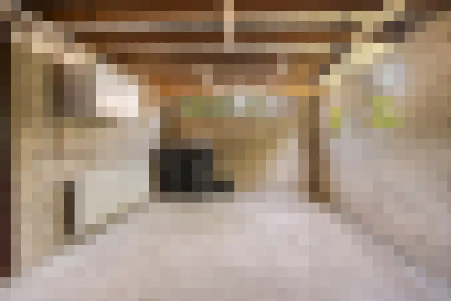 Aenboomsteegde 4 Appelscha thumbnail 40