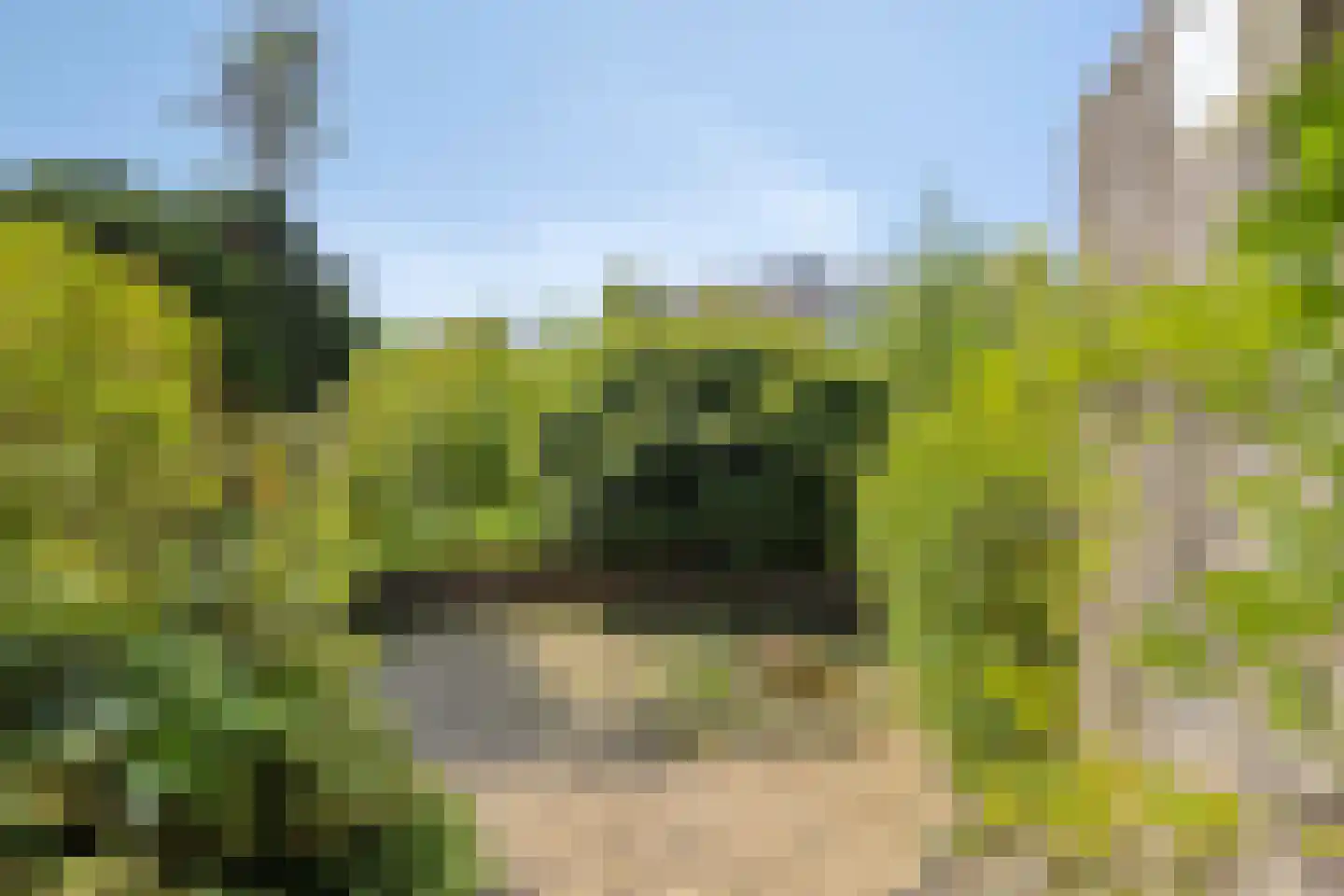 Aenboomsteegde 4 Appelscha thumbnail 42