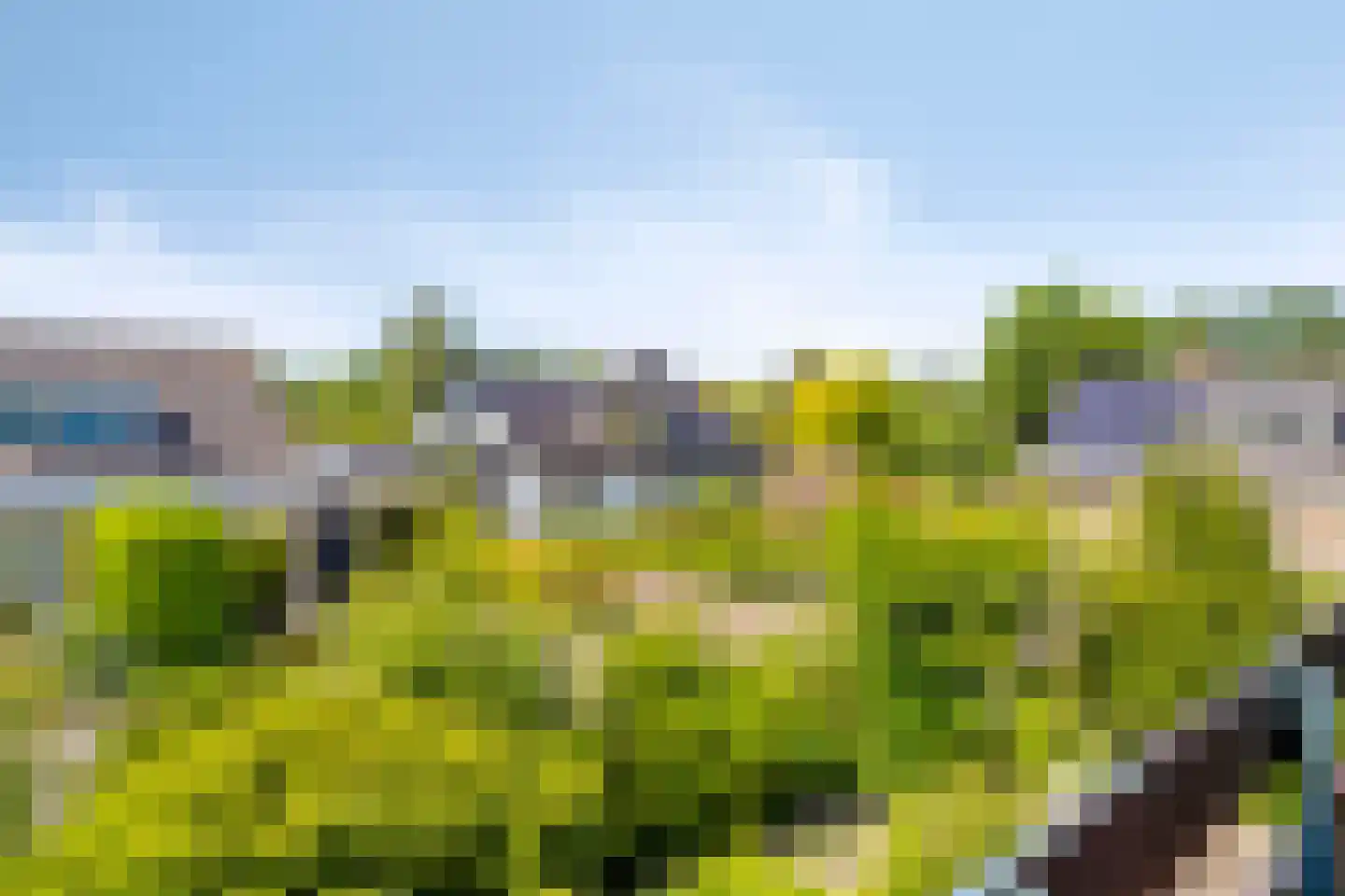 Aenboomsteegde 4 Appelscha thumbnail 43