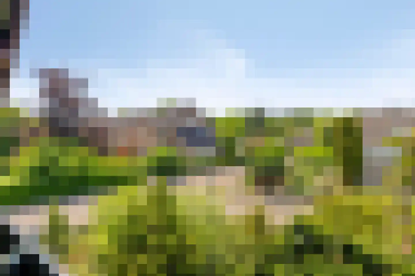 Aenboomsteegde 4 Appelscha thumbnail 44
