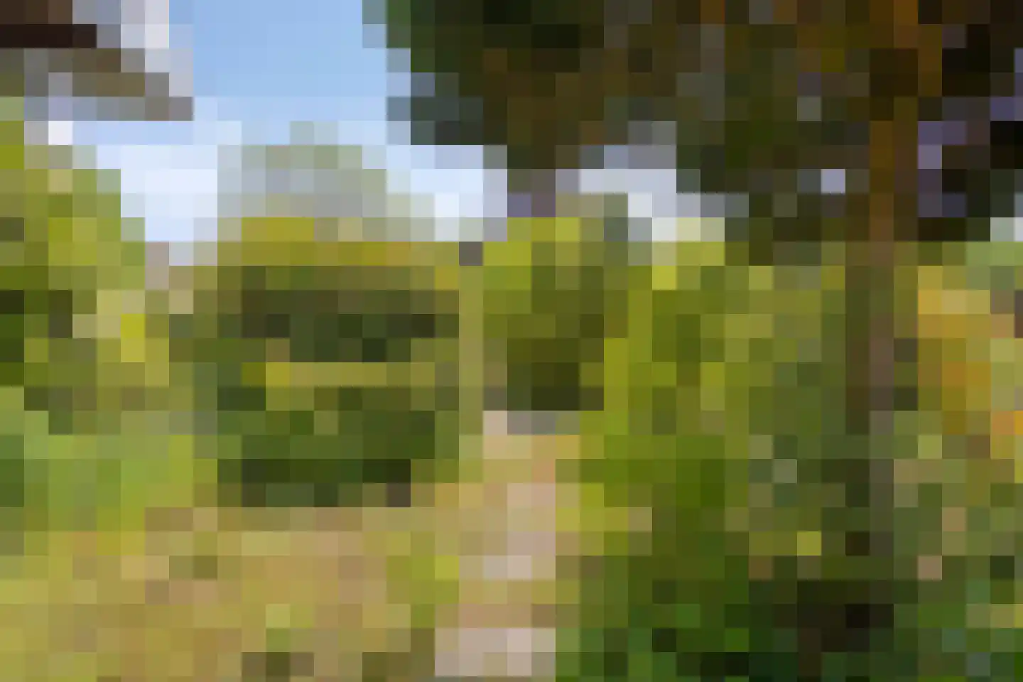 Aenboomsteegde 4 Appelscha thumbnail 45