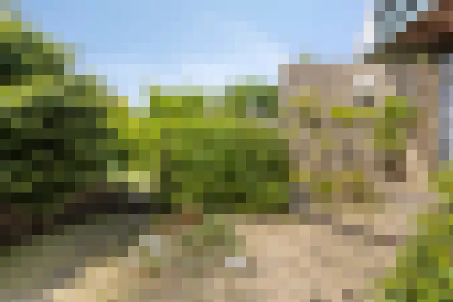 Aenboomsteegde 4 Appelscha thumbnail 46