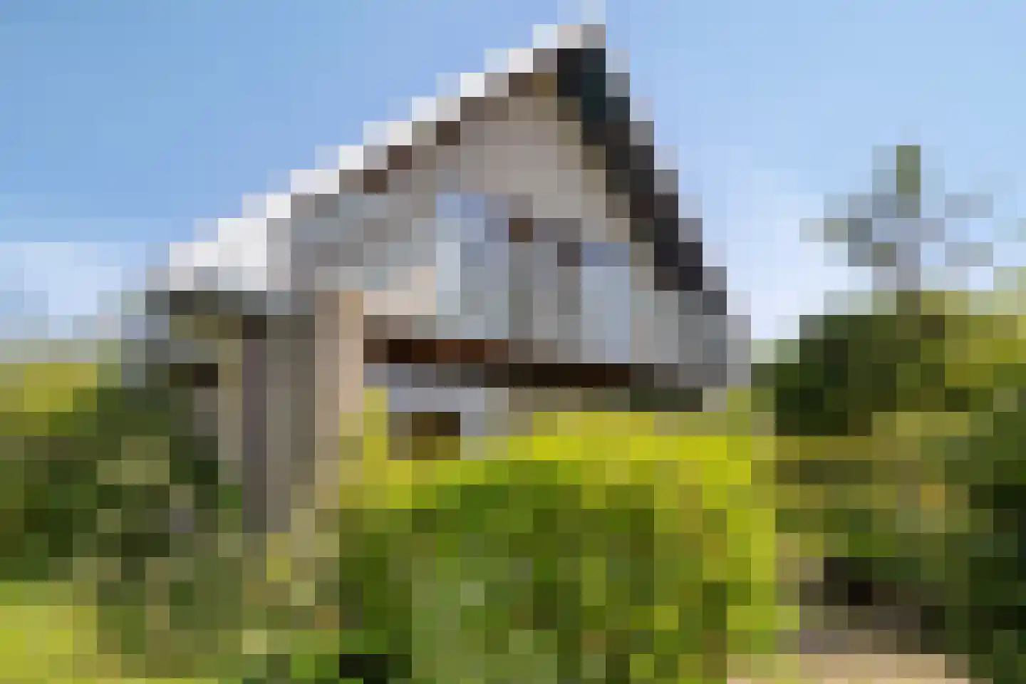 Aenboomsteegde 4 Appelscha thumbnail 47