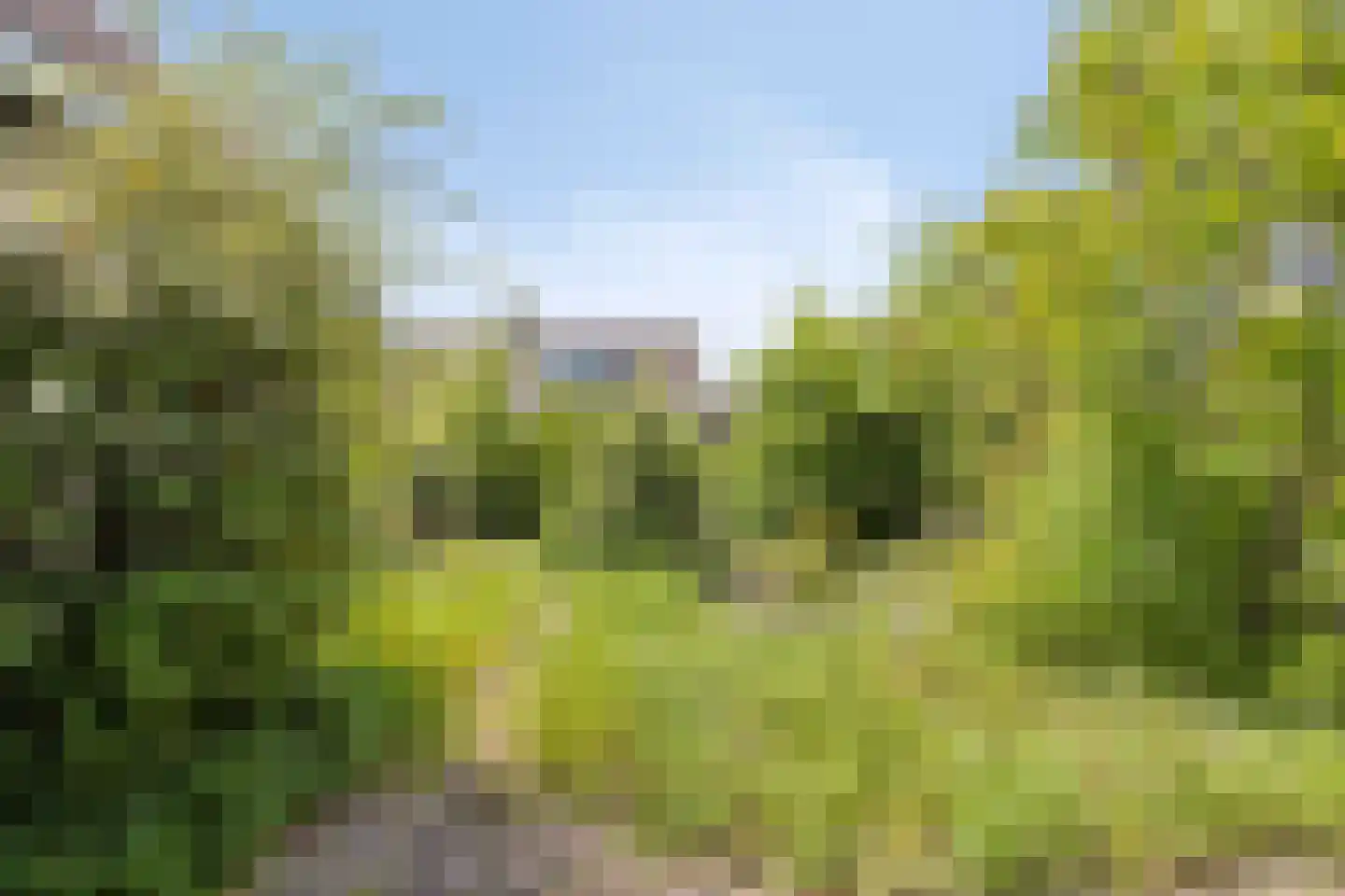 Aenboomsteegde 4 Appelscha thumbnail 49