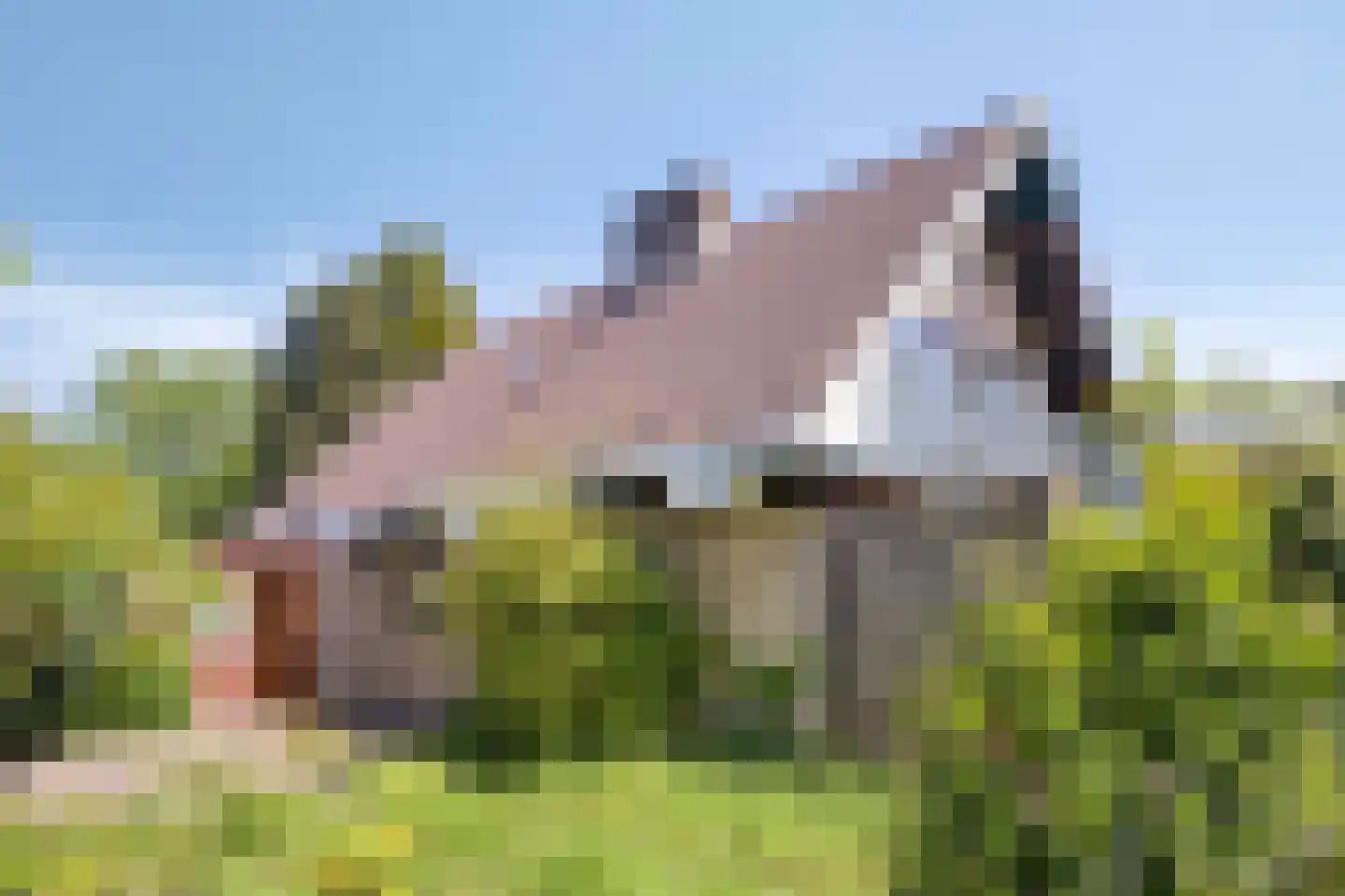 Aenboomsteegde 4 Appelscha thumbnail 53