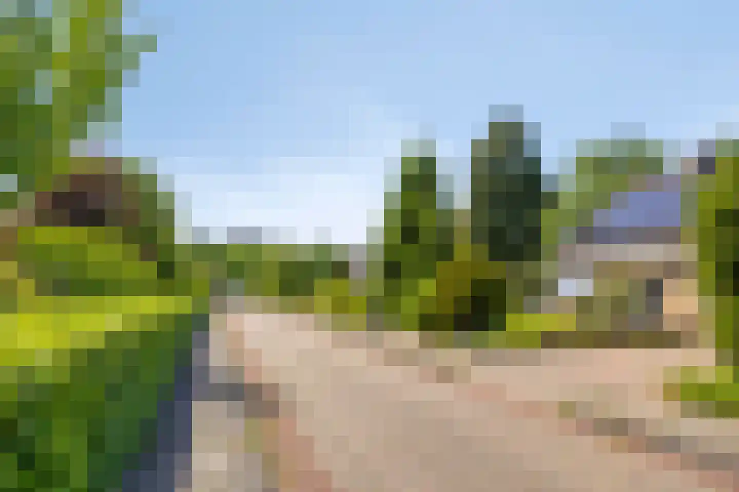 Aenboomsteegde 4 Appelscha thumbnail 57
