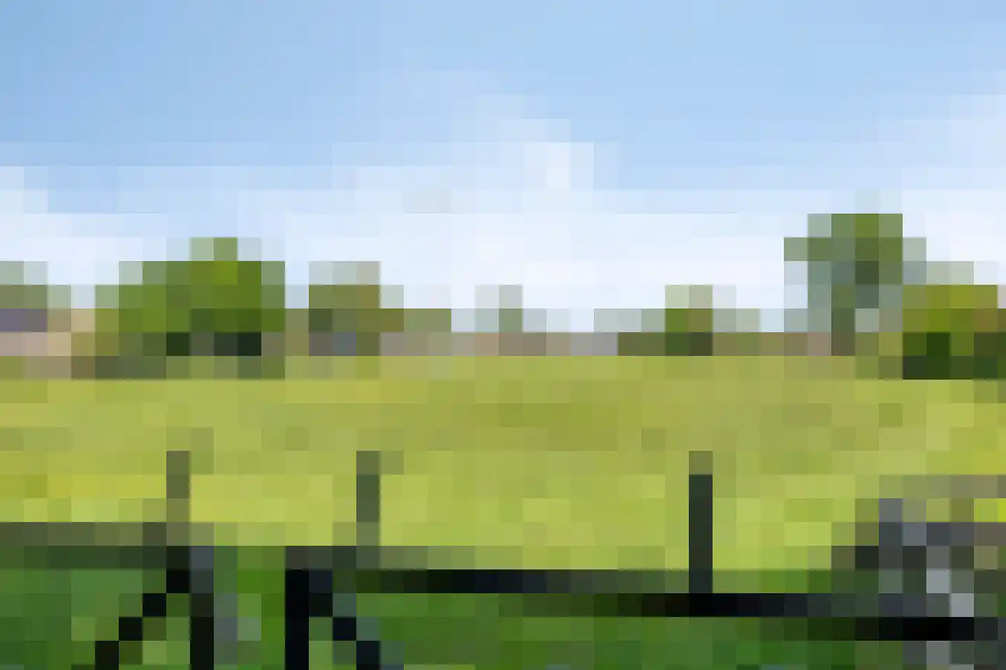 Aenboomsteegde 4 Appelscha thumbnail 60