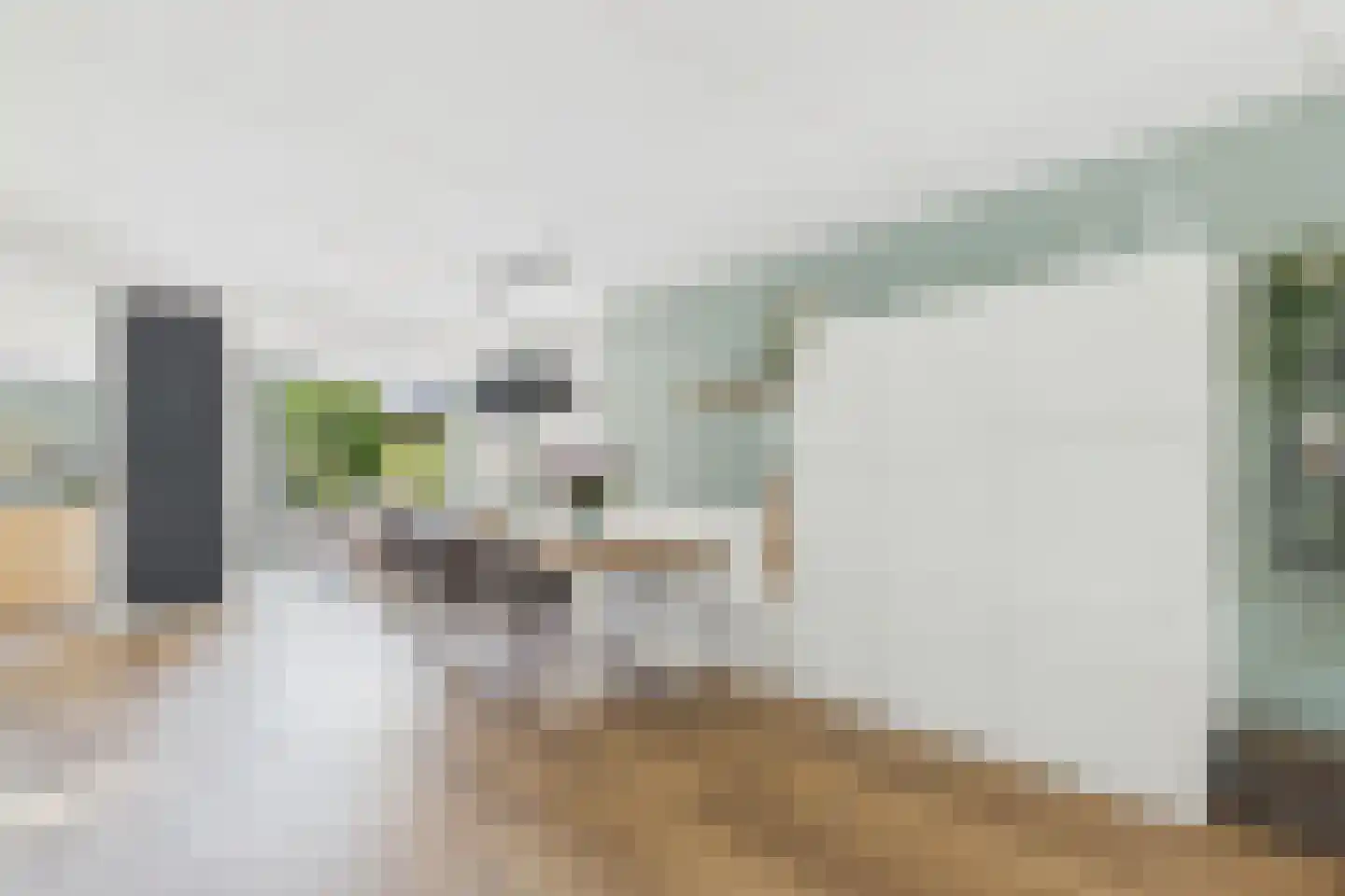 Aendijkestraat 17 Axel thumbnail 10