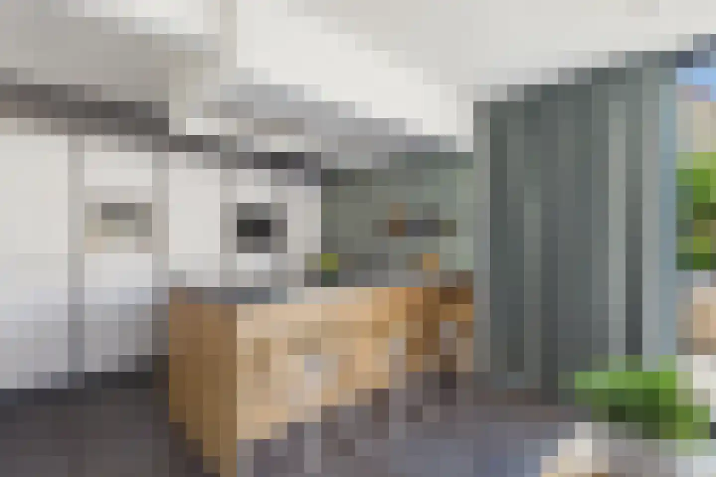 Aendijkestraat 17 Axel thumbnail 15