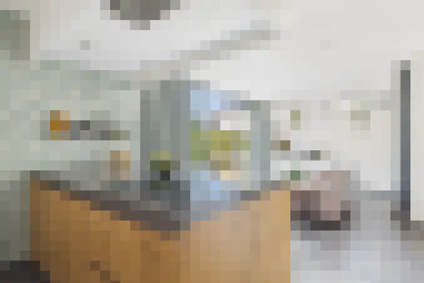 Aendijkestraat 17 Axel thumbnail 17