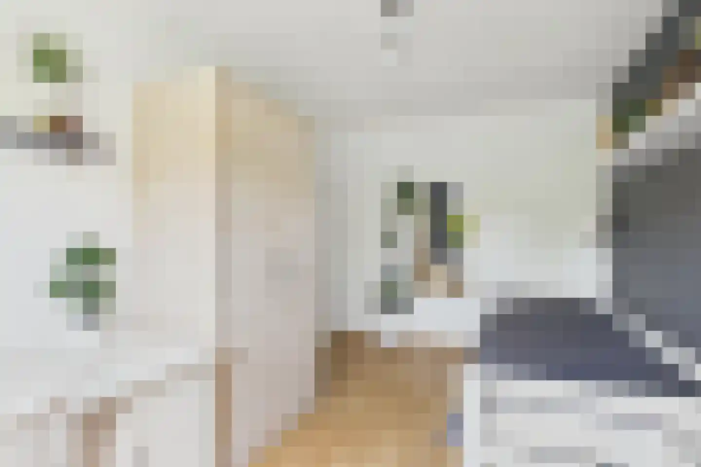 Aendijkestraat 17 Axel thumbnail 24