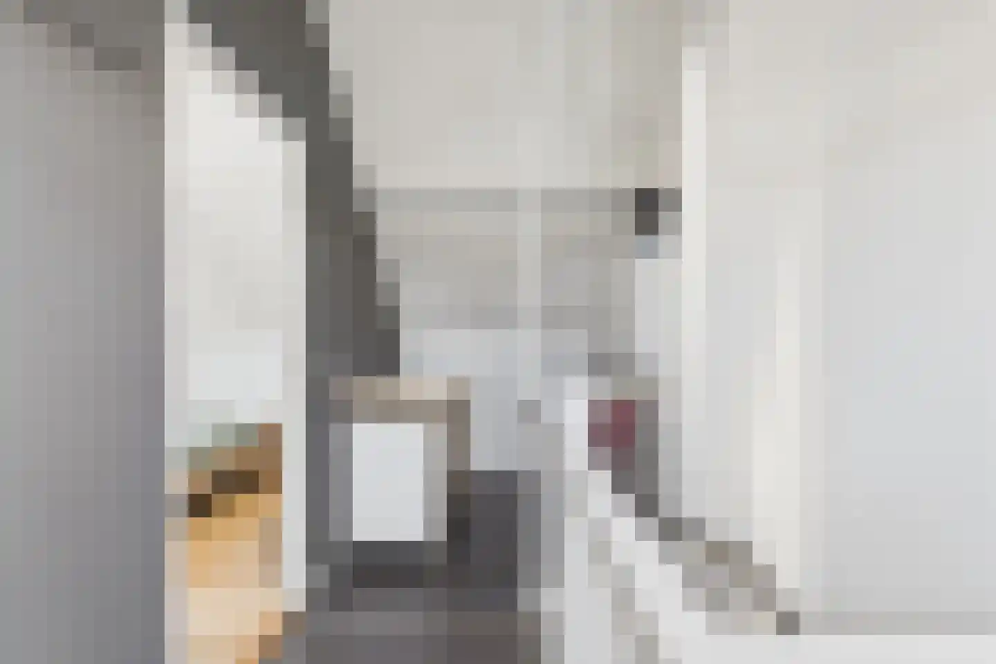 Aendijkestraat 17 Axel thumbnail 33