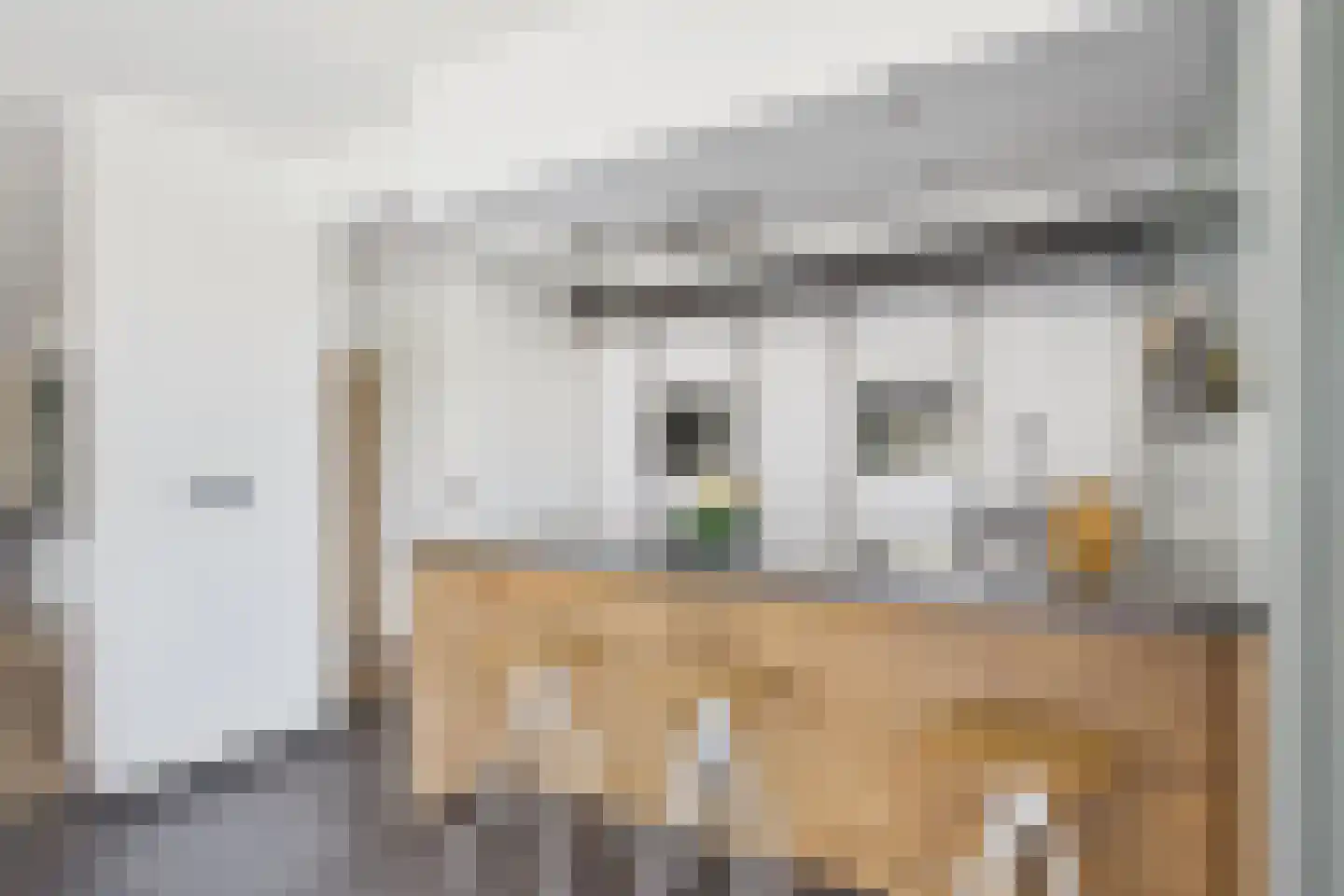 Aendijkestraat 17 Axel thumbnail 4