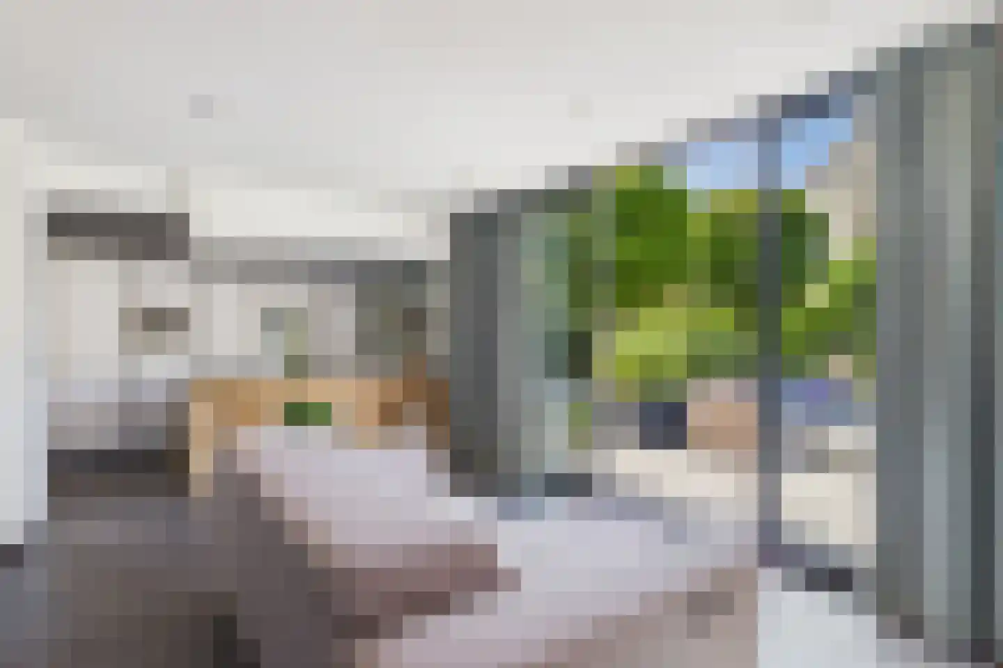 Aendijkestraat 17 Axel thumbnail 5