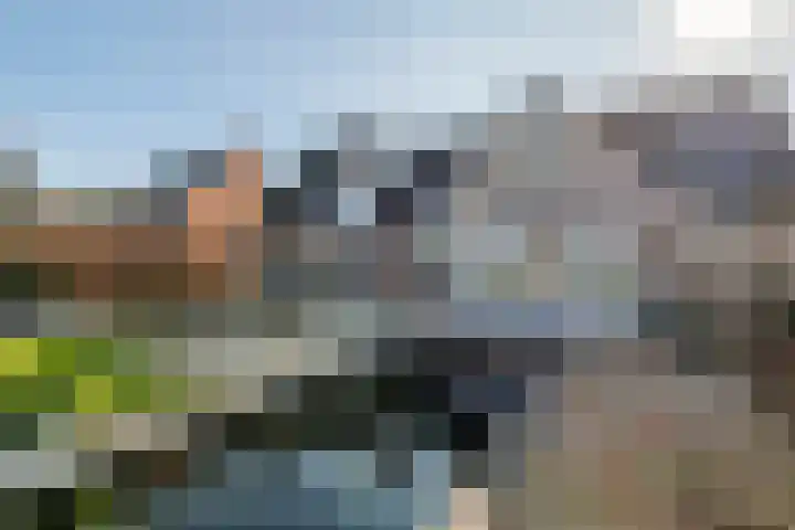 Aeneas Mackaylaan 1 Ophemert thumbnail 12