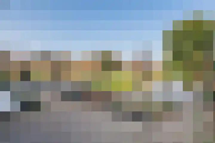 Aeneas Mackaylaan 1 Ophemert thumbnail 13